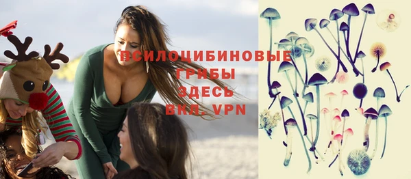 дмт Медвежьегорск