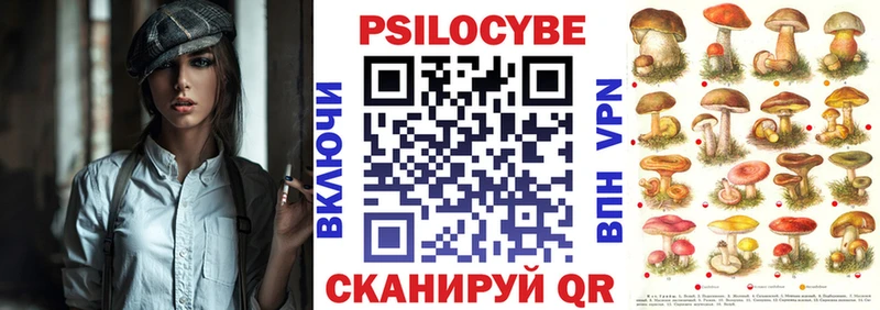 Галлюциногенные грибы GOLDEN TEACHER  Купить  Абакан 